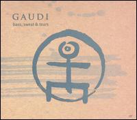 Gaudi - Bass, Sweat & Tears lyrics