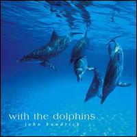 John "Rabbit" Bundrick - With the Dolphins lyrics
