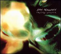 John Hermann - Smiling Assassin lyrics