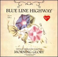 Blue Line Highway - Morning Glory lyrics