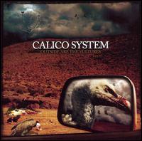 Calico System - Outside Are the Vultures lyrics