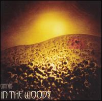 In the Woods... - Omnio lyrics