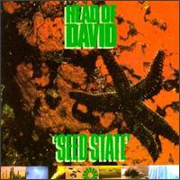 Head of David - Seed State lyrics