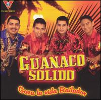 Guanaco Solido - Goza la Vida Bailador lyrics