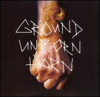 Ground Unicorn Horn - Damn I Wish I Was Fat lyrics