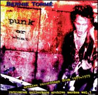 Bernie Torm - Punk or What lyrics