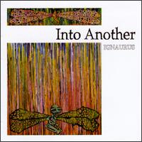 Into Another - Ignaurus lyrics