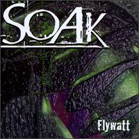 Soak - Flywatt lyrics