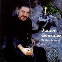 Junior Gonzalez - Te Sigo Amando lyrics