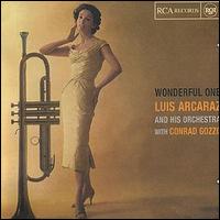 Luis Arcarz - Wonderful One lyrics