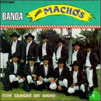 Banda Machos - Con Sangre De Indio lyrics