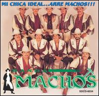 Banda Machos - Mi Chica Ideal lyrics