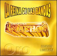 Banda Machos - La Reina De Las Bandas lyrics
