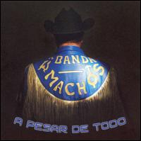 Banda Machos - A Pesar de Todo lyrics