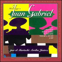 Juan Gabriel - Homenaje a Juan Gabriel lyrics