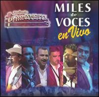 Conjunto Primavera - Miles de Voces en Vivo [live] lyrics