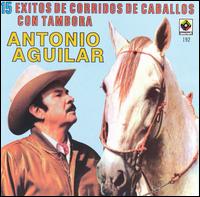 Antonio Aguilar - 15 Corridos/Caballos lyrics