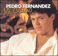 Pedro Fernandez - Mi Carino lyrics