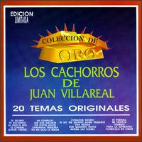 Los Cachorros de Juan Villarreal - 20 Temas Originales lyrics