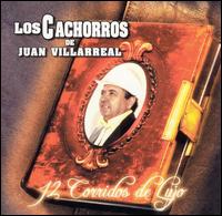 Los Cachorros de Juan Villarreal - 12 Corridos de Lujo lyrics