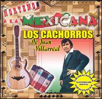 Los Cachorros de Juan Villarreal - Norteno a la Mexicana lyrics