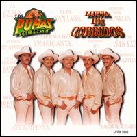 Pumas del Norte - Lluvia de Corridos lyrics