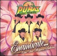 Pumas del Norte - Enamorate lyrics