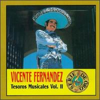 Vicente Fernndez - Tesoros Musicales, Vol. 2 lyrics