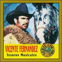 Vicente Fernndez - Tesoros Musicales lyrics