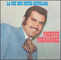 Vicente Fernndez - Voz Que Usted Esperaba lyrics