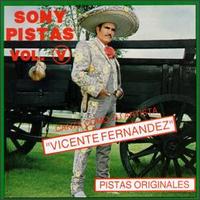 Vicente Fernndez - Sony Pistas, Vol. 5 lyrics