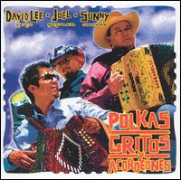 David Lee Garza - Polkas, Gritos Y Acorde?nes lyrics