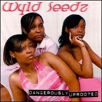 Wyld Seedz - Dangerously Uprooted lyrics