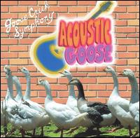 Goose Creek Symphony - Acoustic Goose lyrics