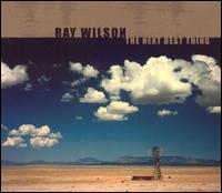 Ray Wilson - The Next Best Thing lyrics