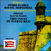 Tro Voces de Puerto Rico - Boleros lyrics