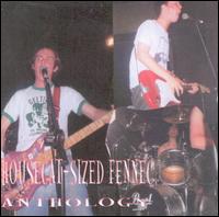 Housecat Sized Fennec - Anthology lyrics