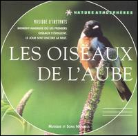 Philippe Bestion - Nature Atmospheres: 01 - Les Oiseaux de l'Aube lyrics