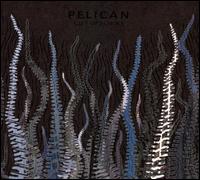 Pelican - City of Echoes lyrics