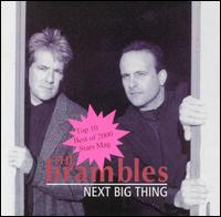 Brambles - Next Big Thing lyrics