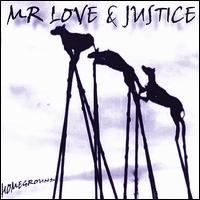 Mr Love & Justice - Homeground lyrics