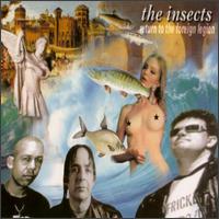 The Insects - Return to the Foreign Legion lyrics