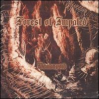 Forest of Impaled - Demonvoid lyrics