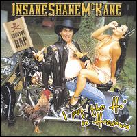 Insane Shane Mckane - I Put the Ho' in Hoedown lyrics