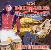 Los Indomables - El Buey de la Barranca lyrics