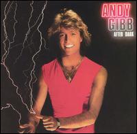 Andy Gibb - After Dark lyrics