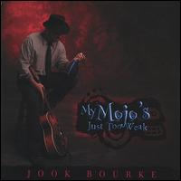 Jook Bourke - My Mojo's Just Too Weak lyrics