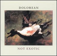Dolorean - Not Exotic lyrics