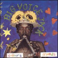 Big Voice Jack Lerole - Colours & Moods [live] lyrics