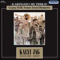 Kalyi Jag Group - Gypsy Folk Songs from Hungary lyrics